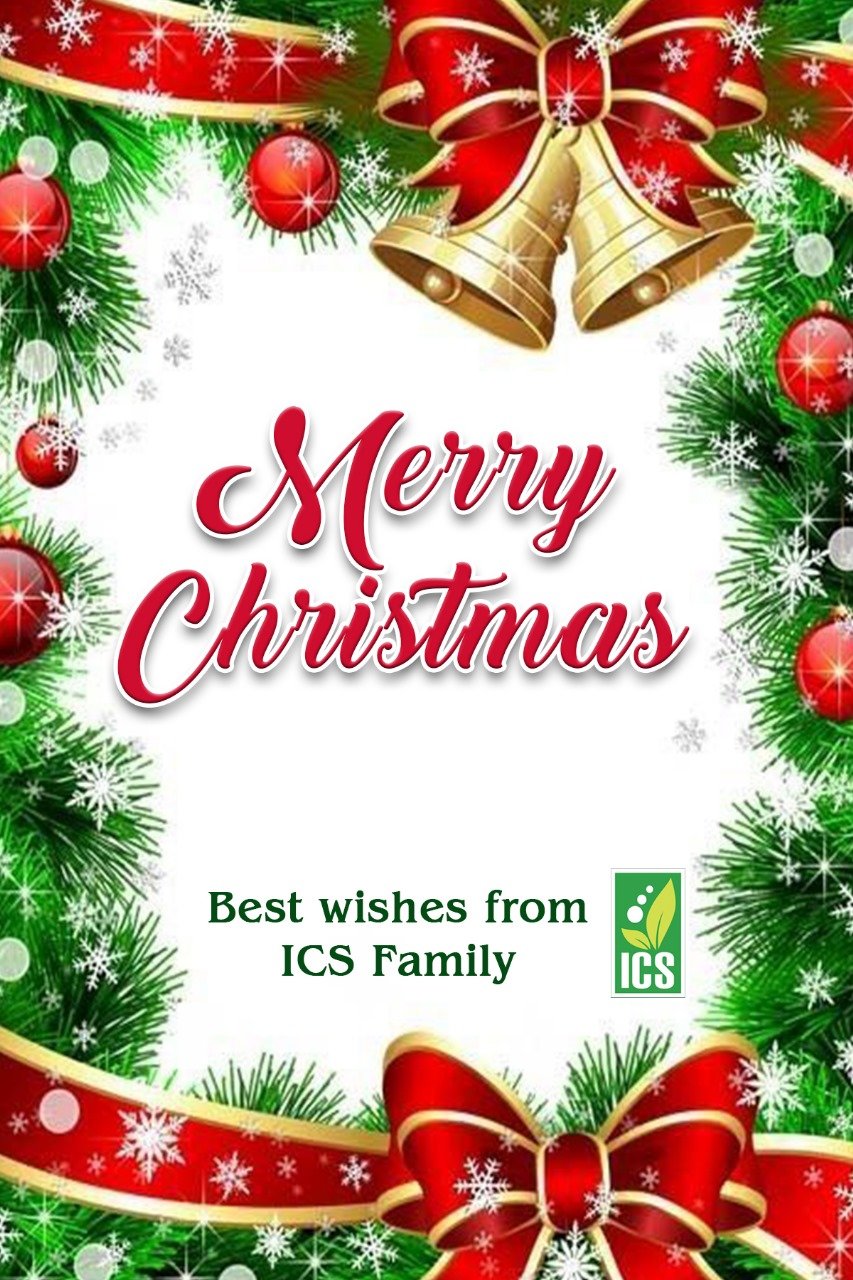 Merry Christmas!